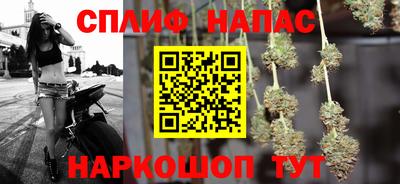 прущие грибы Бийск