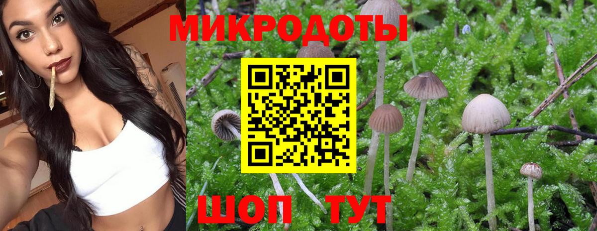 Галлюциногенные грибы мицелий Кизилюрт