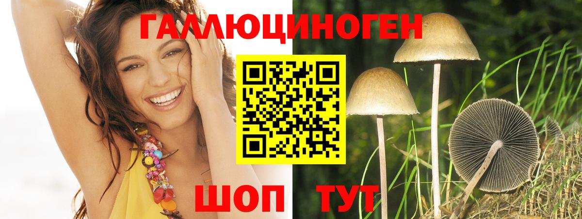 Кизилюрт  Псилоцибиновые грибы Psilocybe  Вход с VPN  Галлюциногенные грибы MAGIC MUSHROOMS 